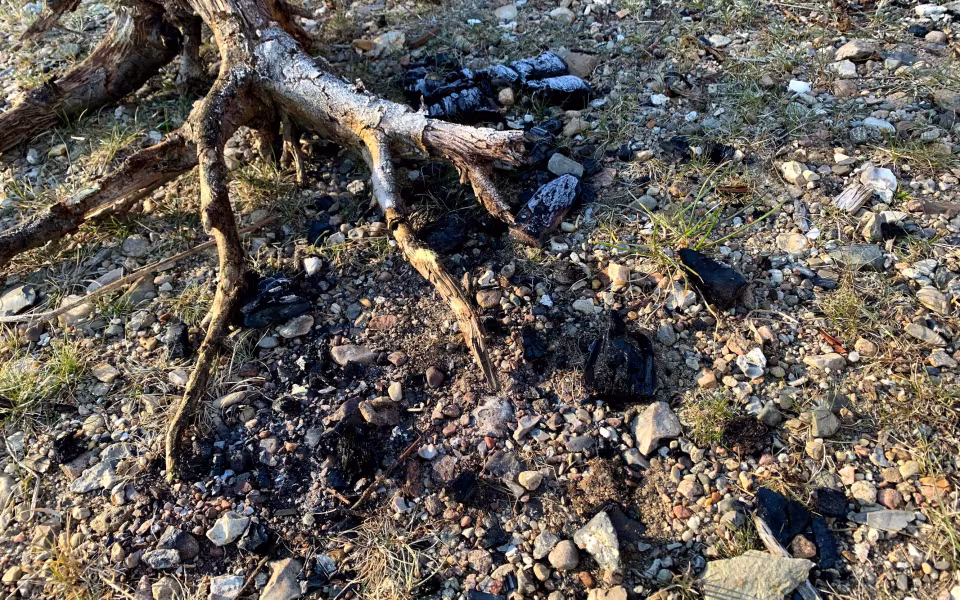 To gange med få dages mellemrum er taget på en shelter antændt på Stemmeværkspladsen