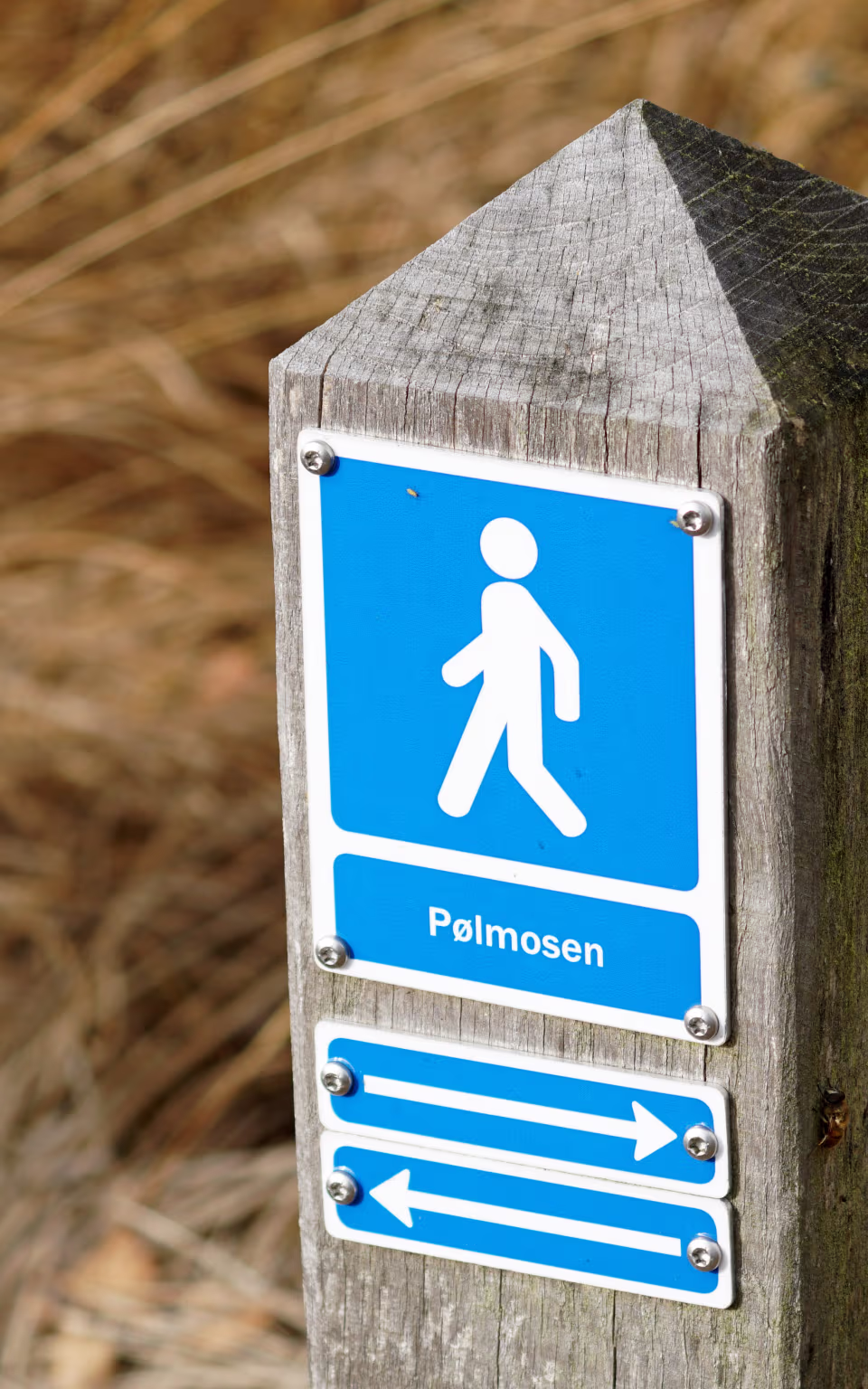 Vandreskilt ved Pølmosen på træpæl mellem tørt græs