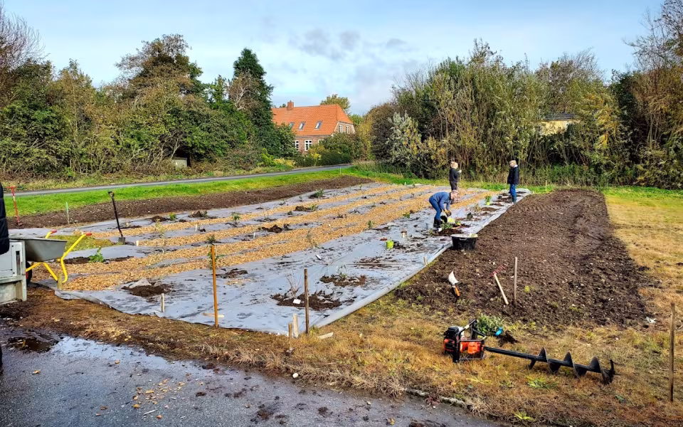 12 oktober: Plantning på Åvej 15