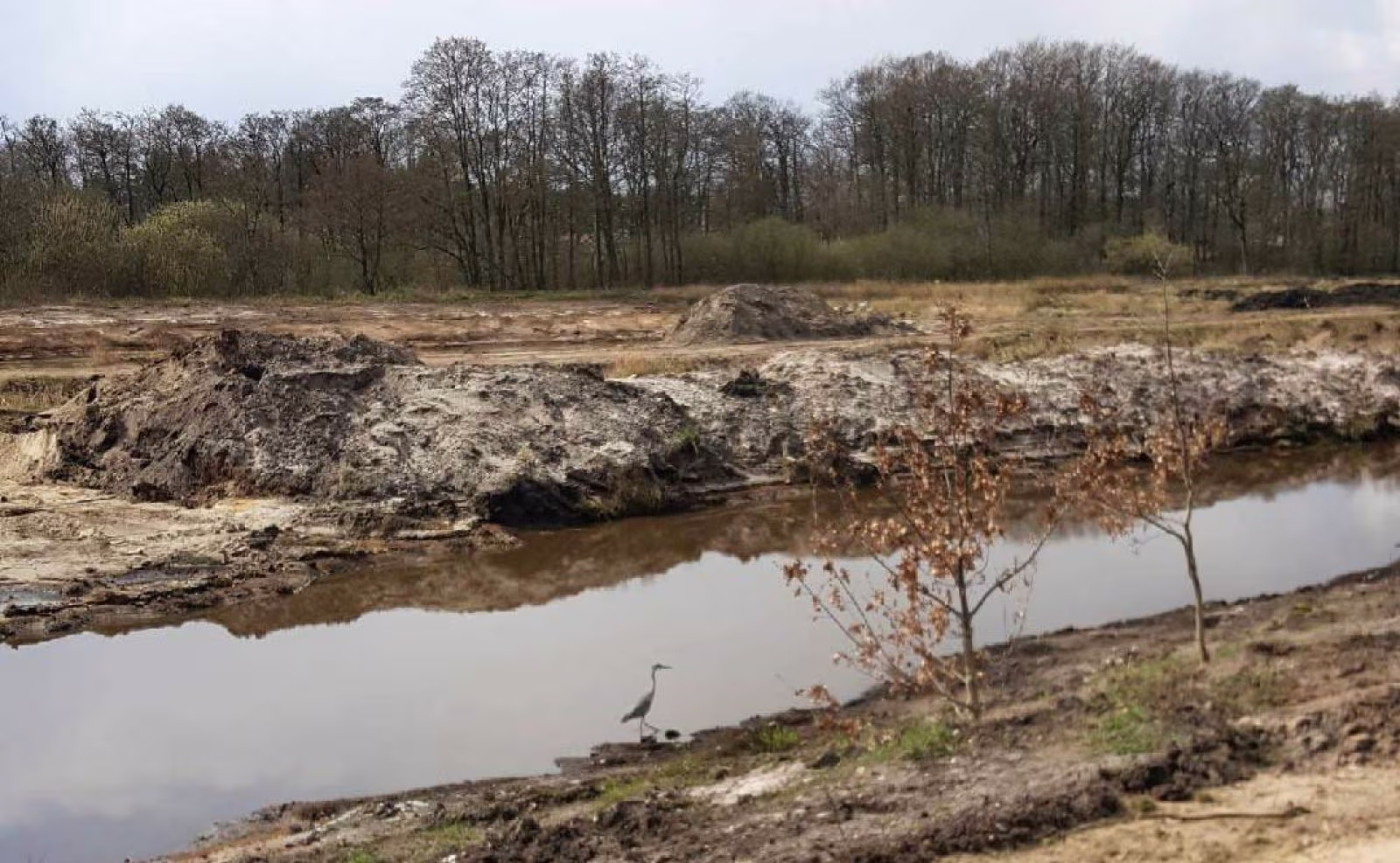 Fiskehejren har allerede taget den store sø i søparken i brug