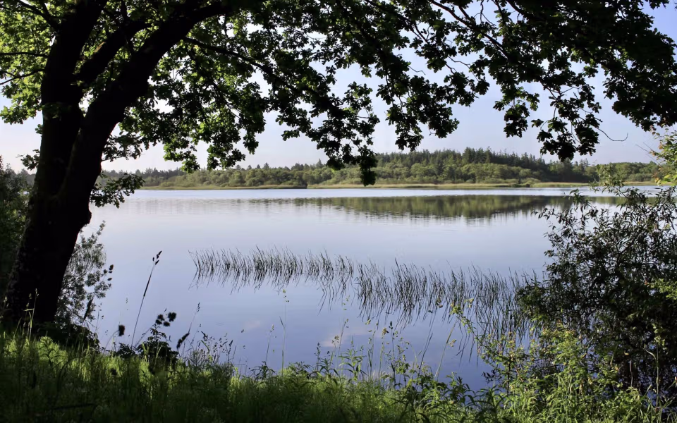 Morgenro ved Karlsgårde Sø
