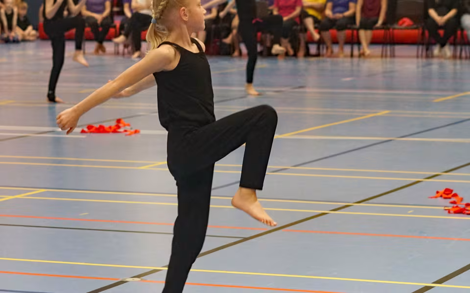 Gymnastikopvisning 2019