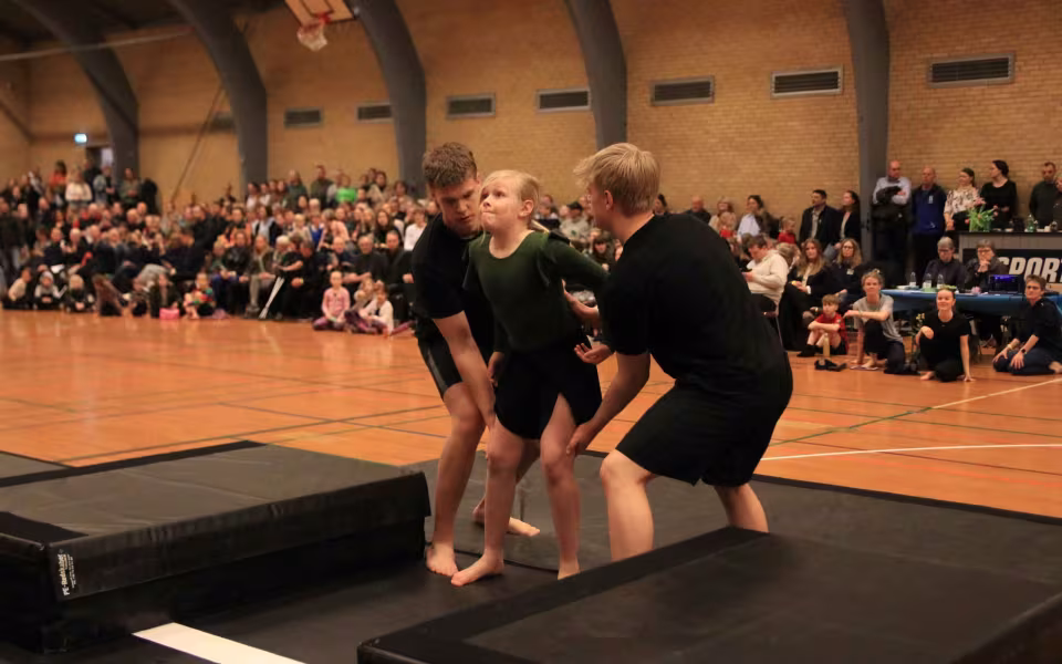 Stor succes ved DGI's opvisning