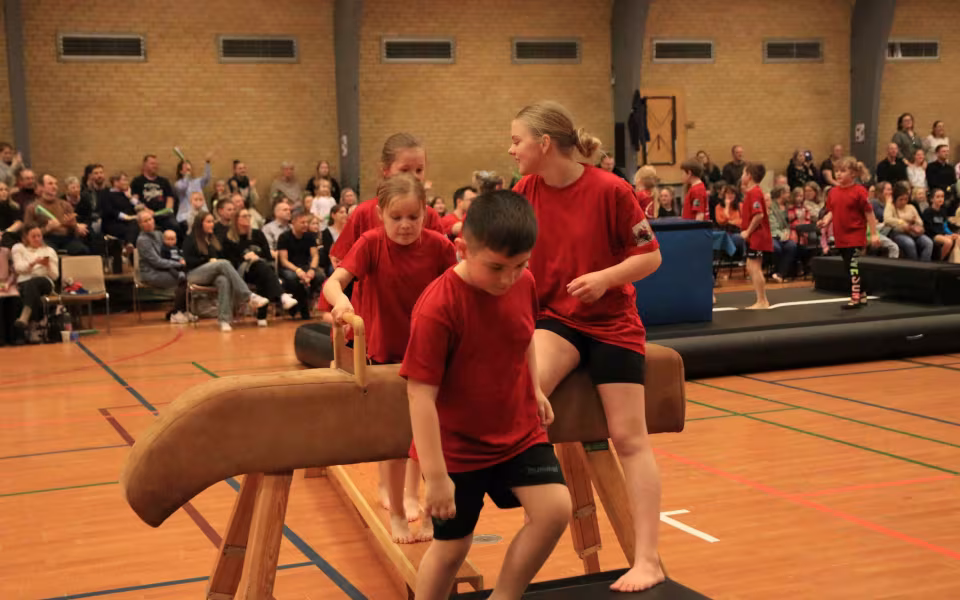 Stor succes ved DGI's opvisning