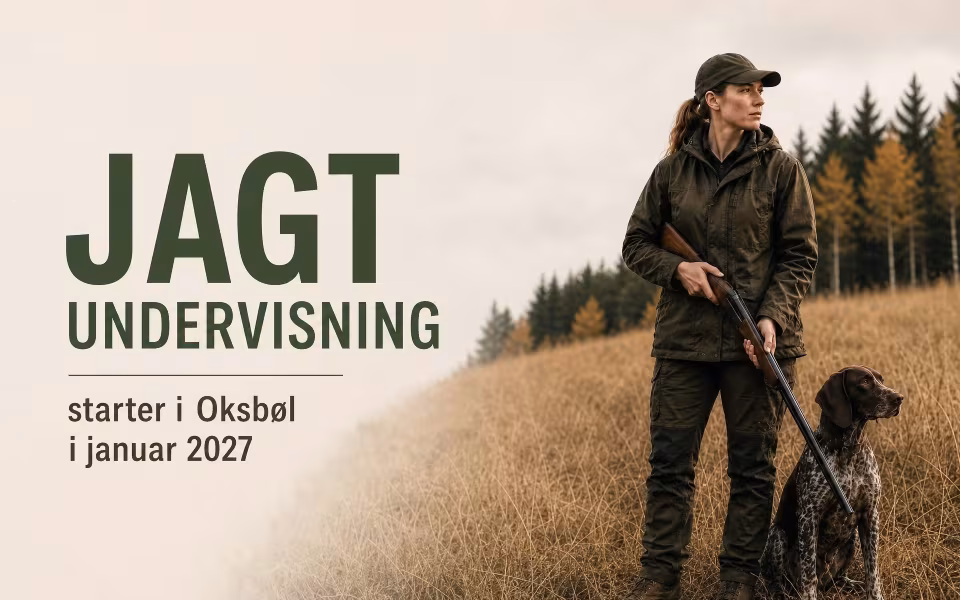 Jagtundervisning starter i Oksbøl i januar 2027