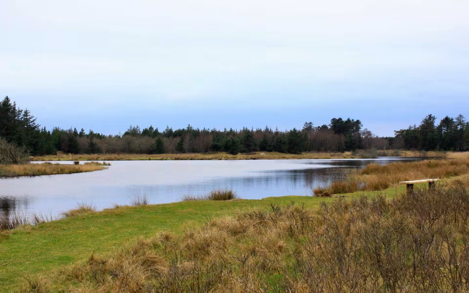 Efterårsoplevelser i Naturpark Vesterhavet