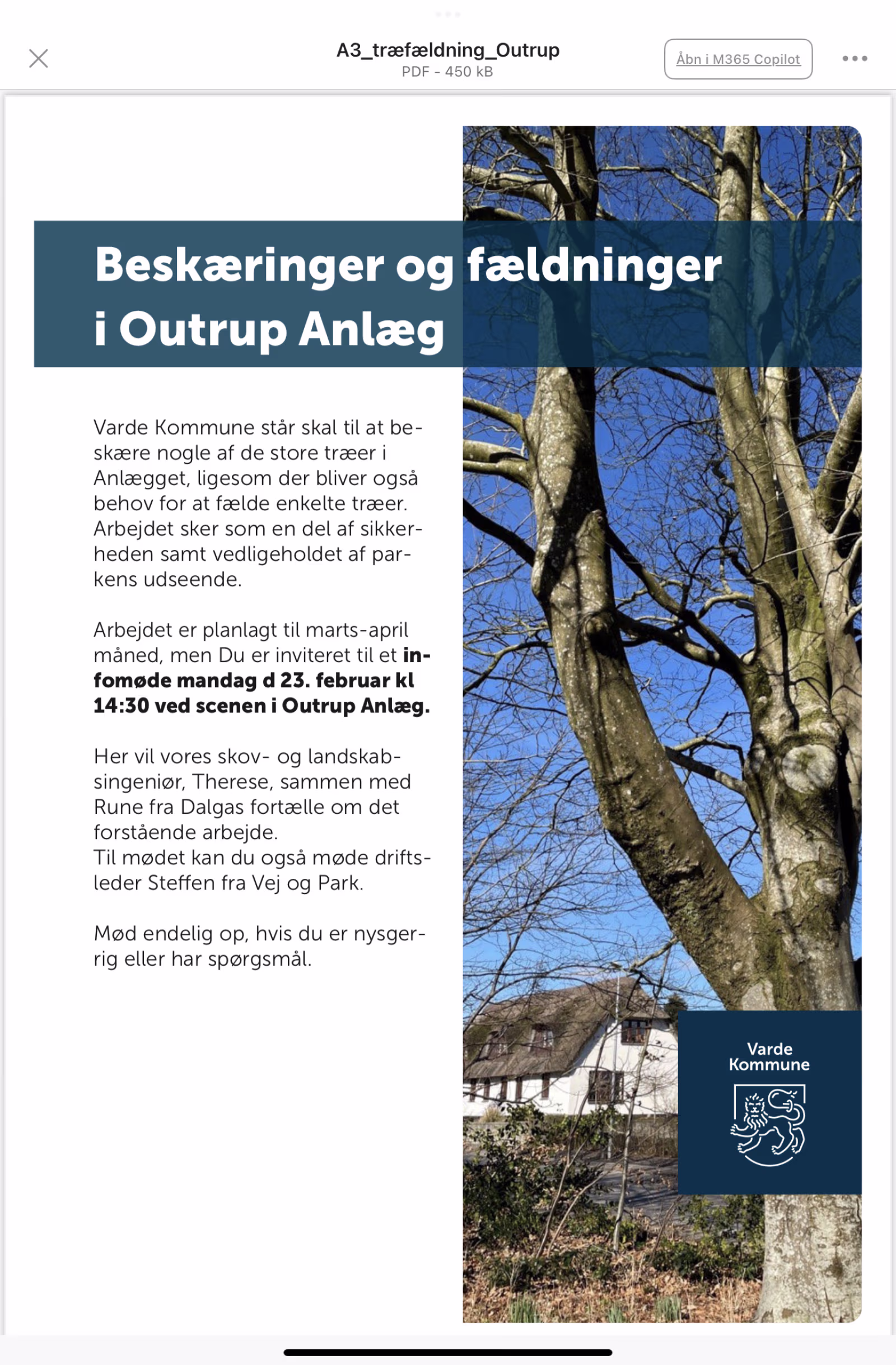 Træfældning i Outrup Anlæg