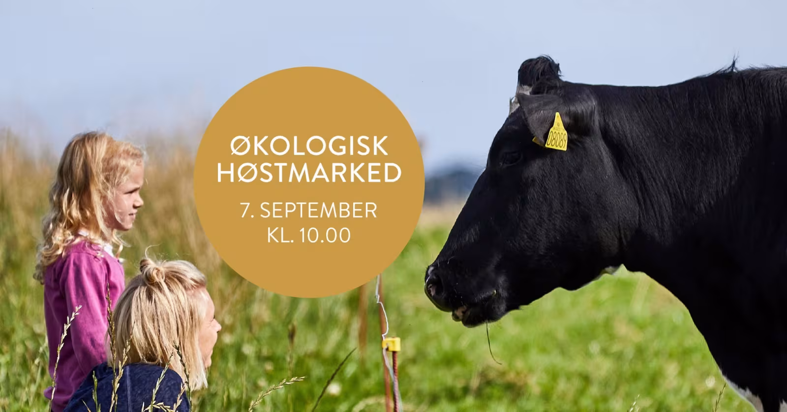 Økologisk høstmarked