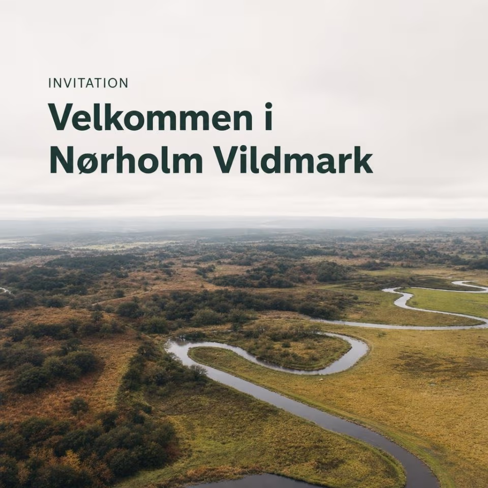 Invitation - velkommen i Nørholm Vildmark