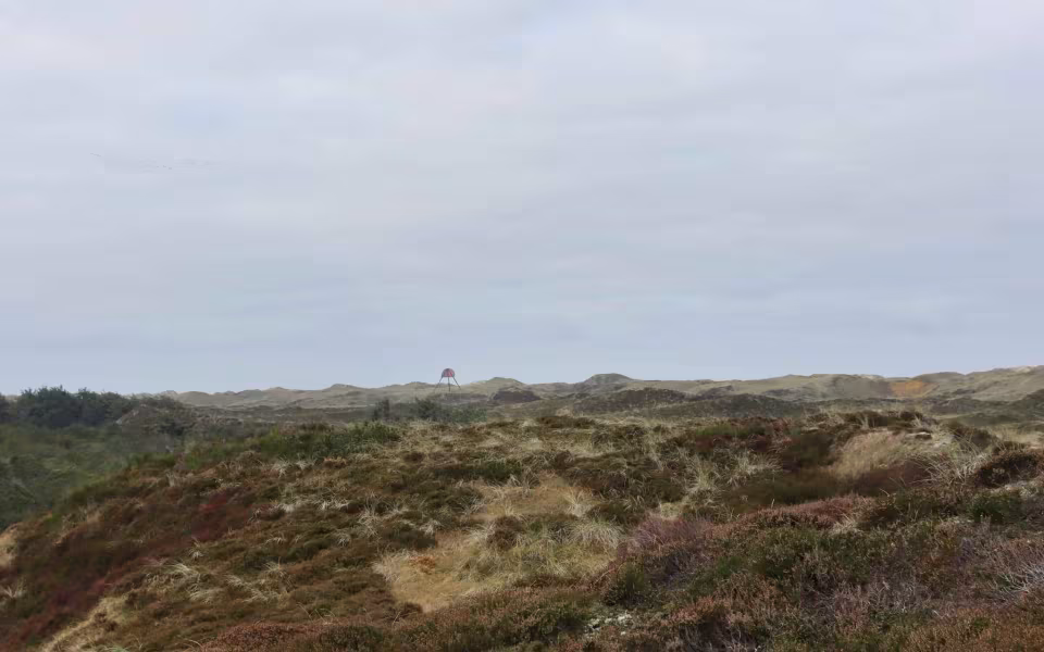 Find morgenroen på Gråmulebjerg