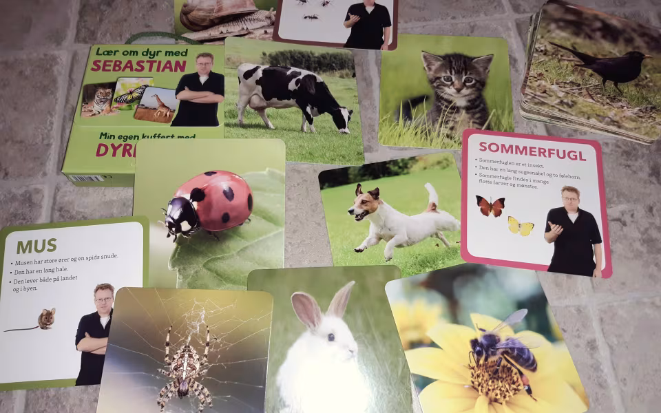 Kreativitet i naturen