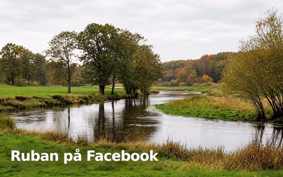 Ruban på Facebook