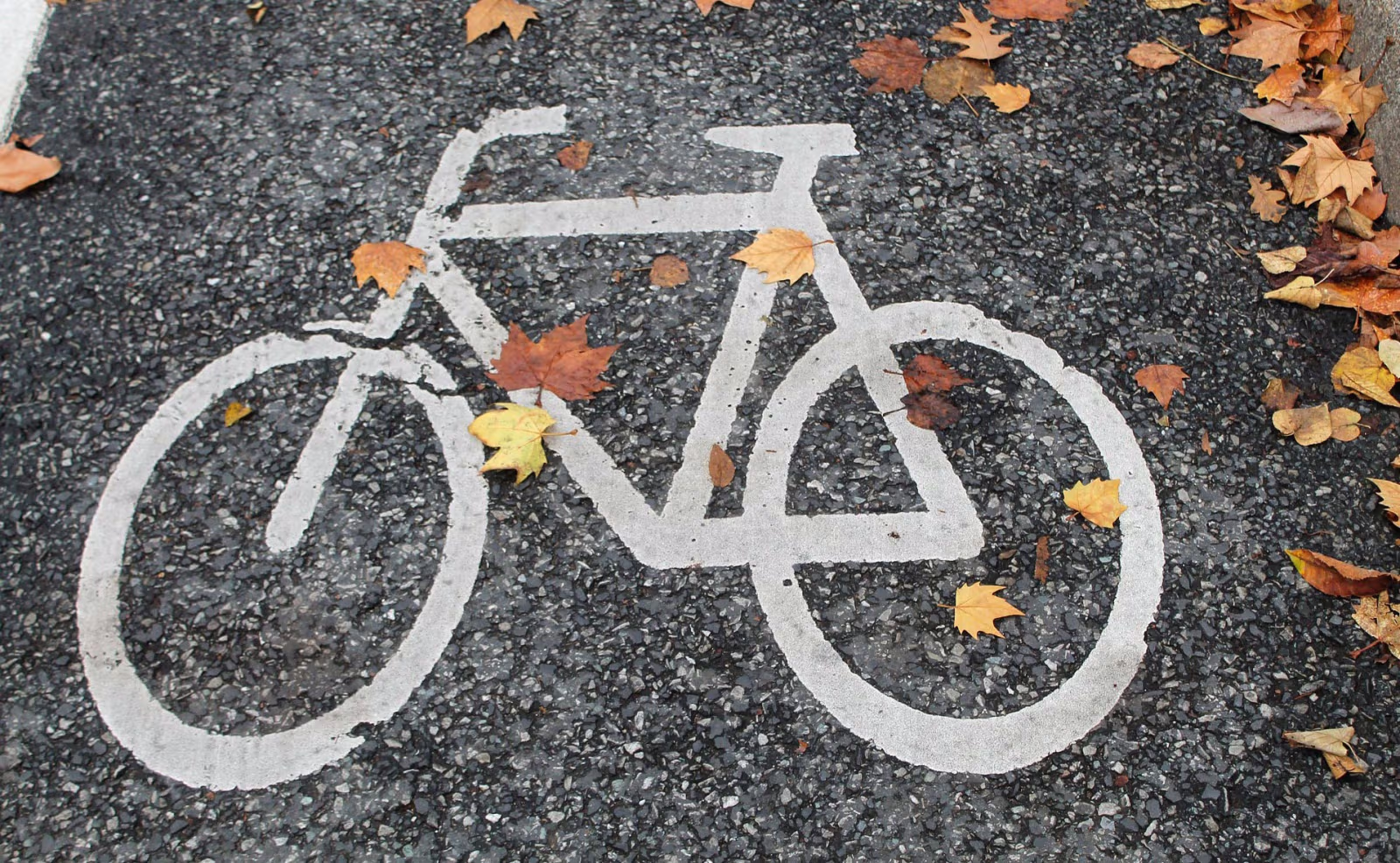 Cykelsti Ansager-Krogager og videre til Grindsted