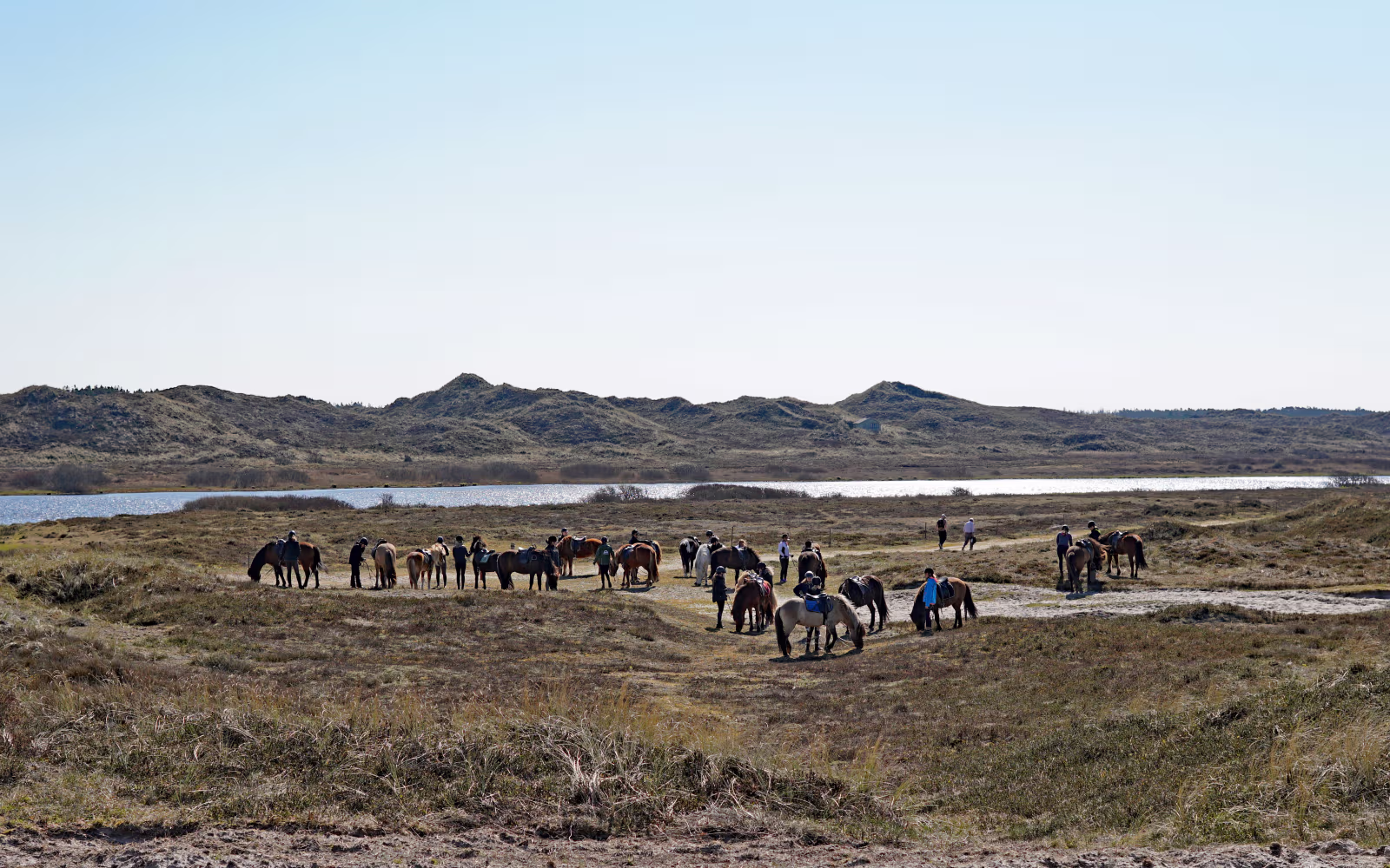 Ryttere på heste i klitterne ved Gammelgab Strand med sø foran sandbakker