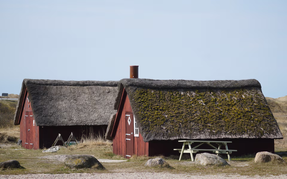 Stråtækte røde esehuse ved Nymindegab med mos på tagene og klitter bagved