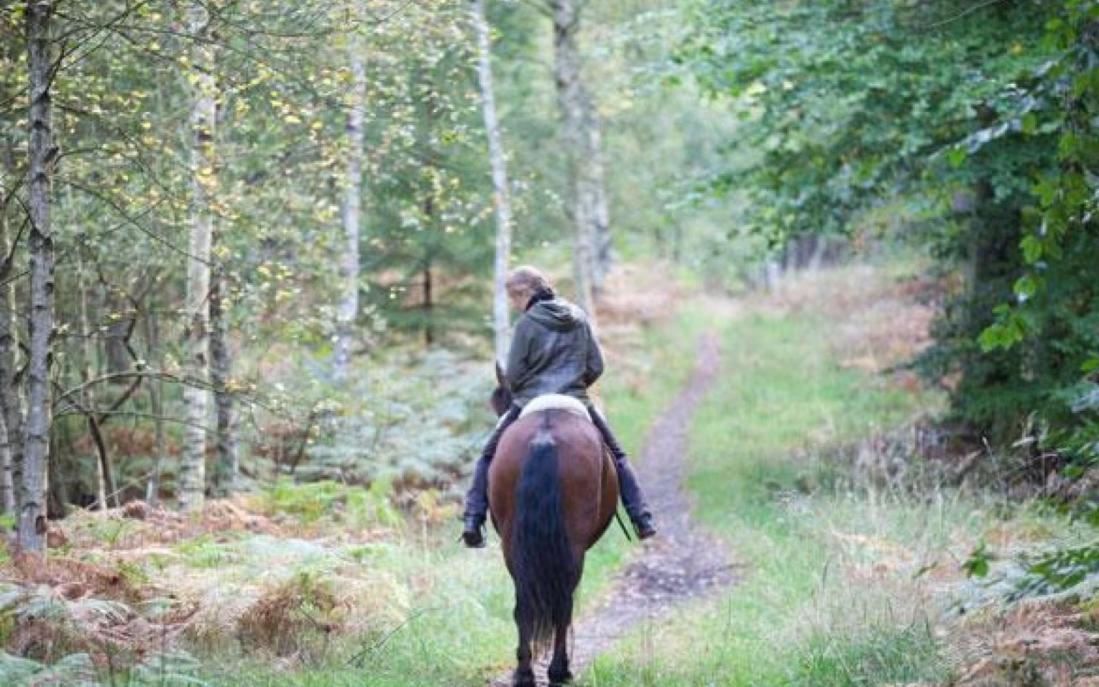 Ridestierne i Marbæk