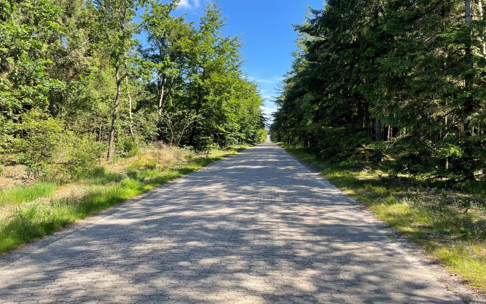 Sønder Heden Plantage - Gul  rute - motionsrute