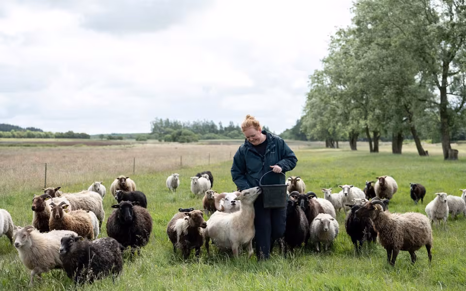 Hyggelig familiedag på Toftegaard