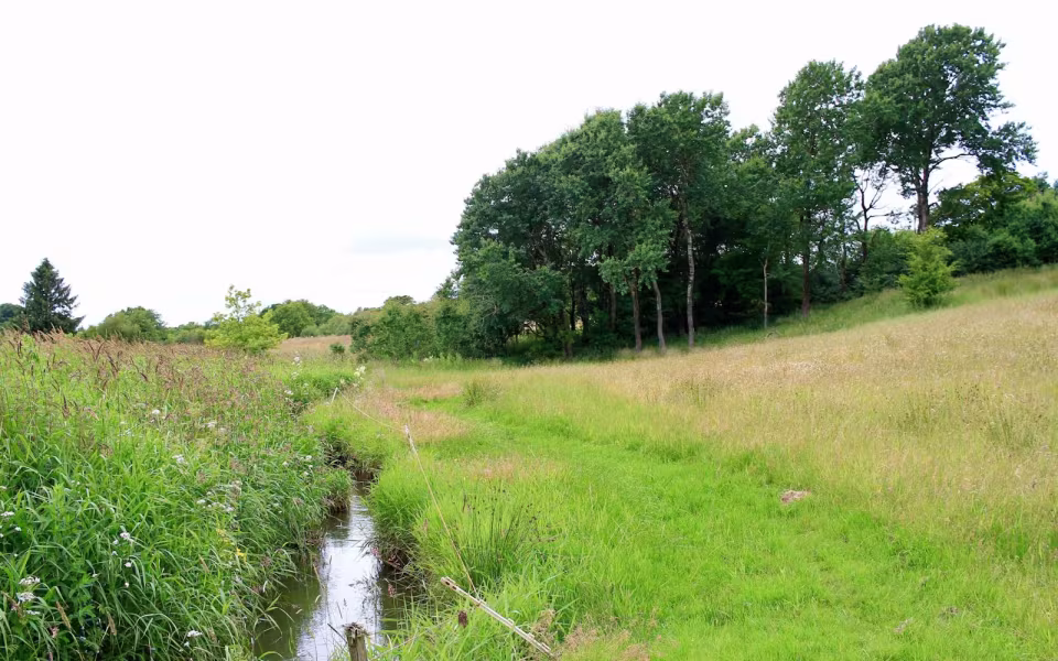 Hornes Vikingelund et paradis
