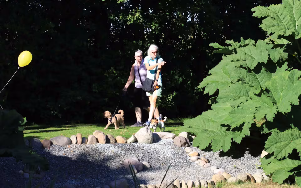 Gå-Maraton samlede 300 i Outrup