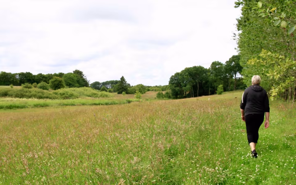 Hornes Vikingelund et paradis