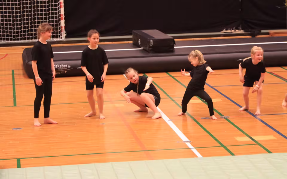 Springfiduserne Stråler ved Forårsopvisning