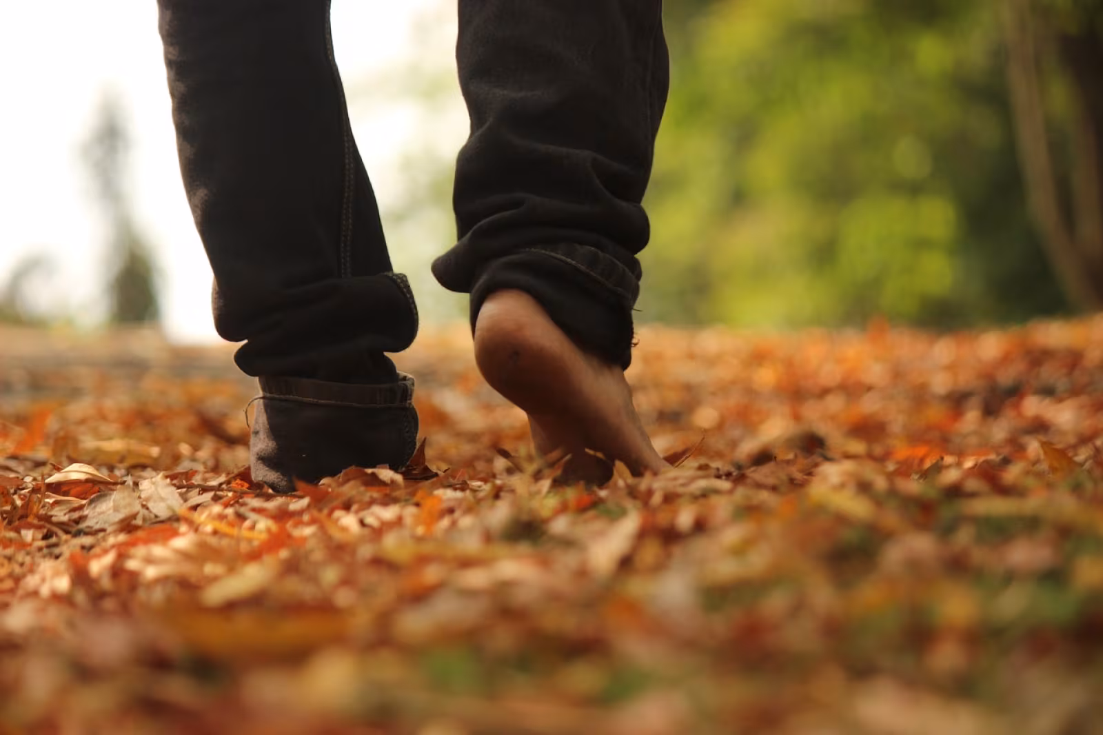 Litterær gåtur i Hanssinelund-Naturen i Litteraturen