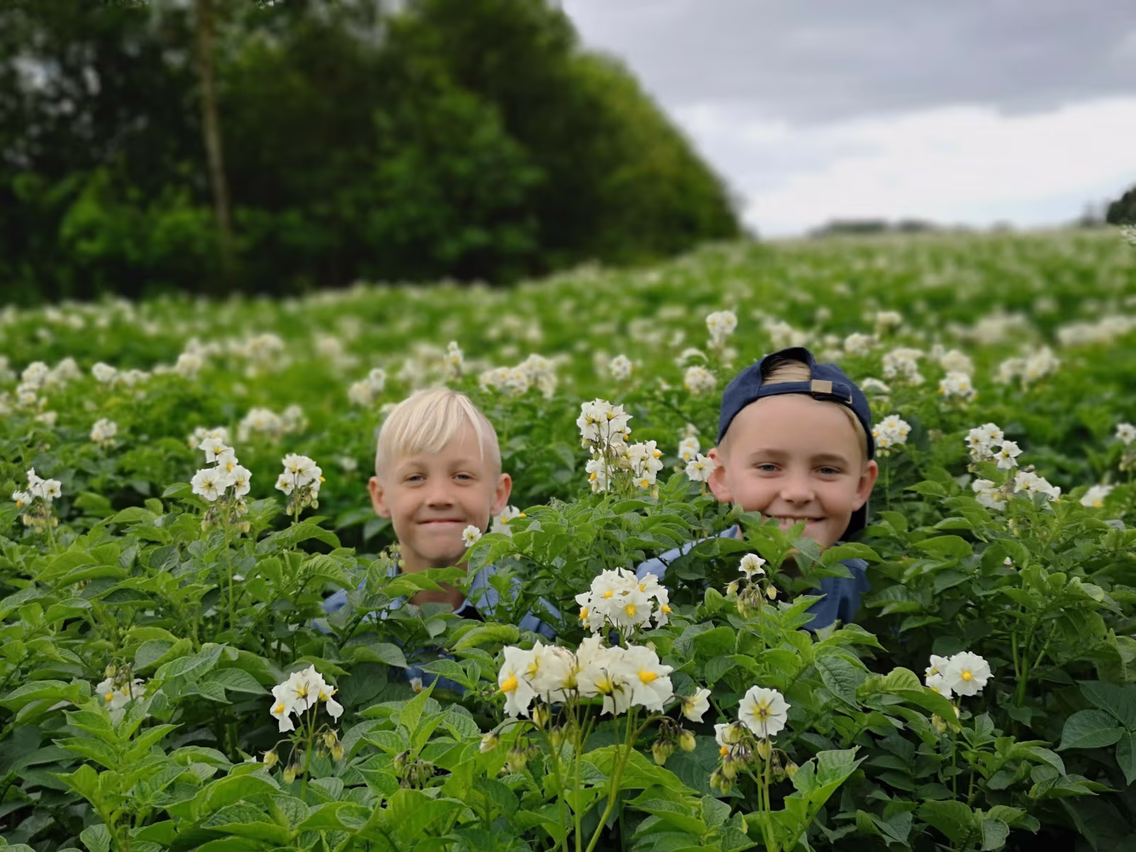 Årsbrev fra Ansager FDF