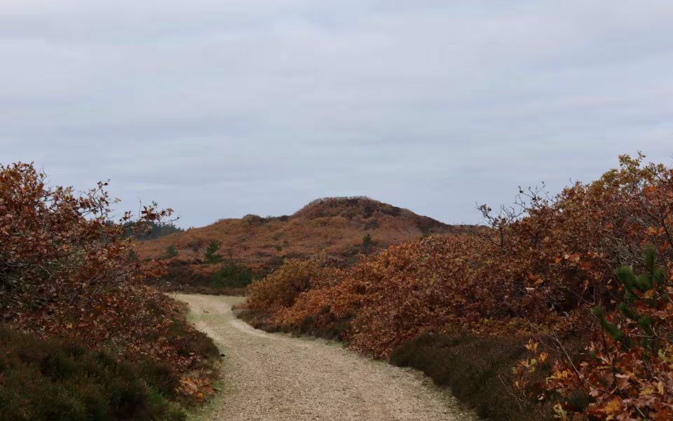 Find morgenroen på Gråmulebjerg