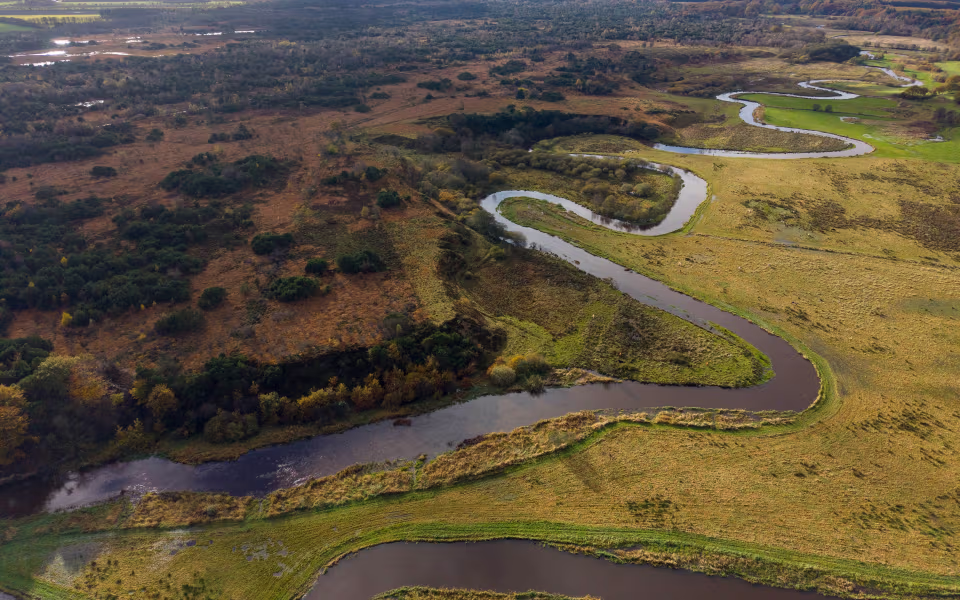 En af de nye vildmarker i Danmark bliver Nørholm Vildmark ved Varde