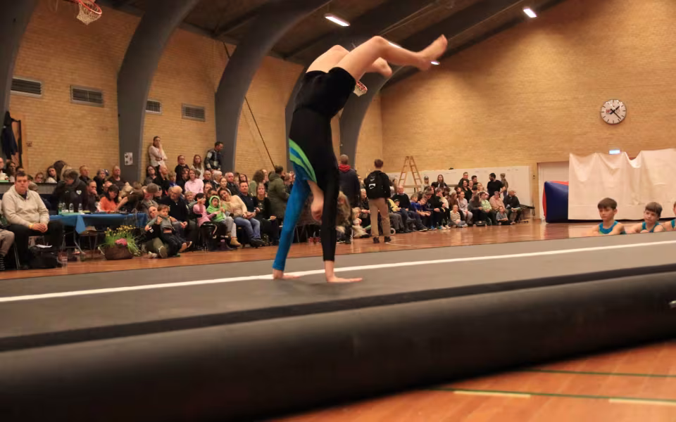 Stor succes ved DGI's opvisning