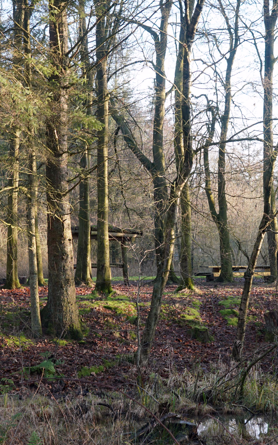 Shelterplads ved Karlsgårde Sø