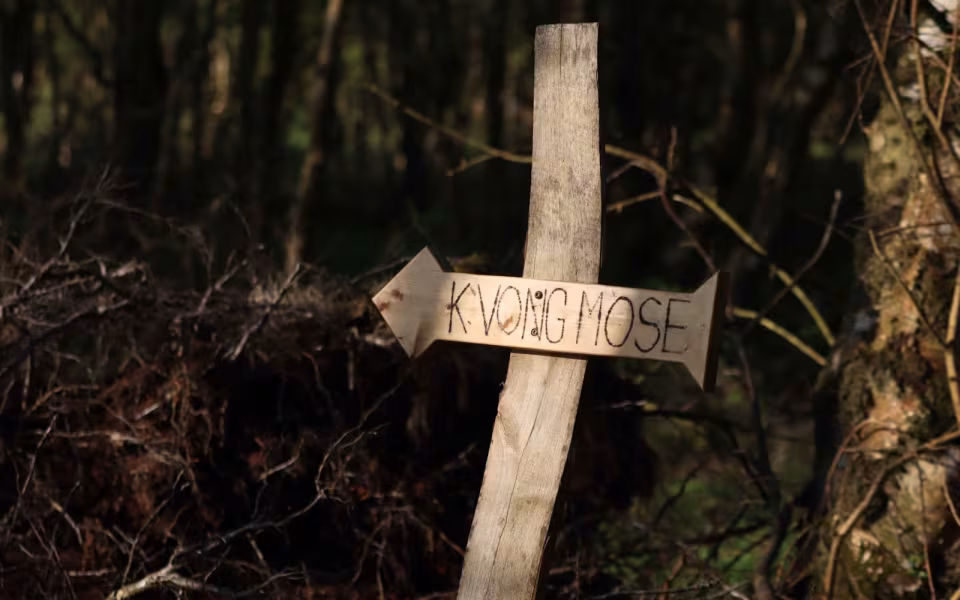 Kvong Mose: En unik naturperle