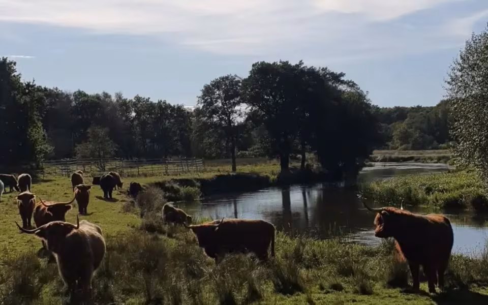 Del billede for ÅRSMØDE DN VARDE - Nørholm Vildmark