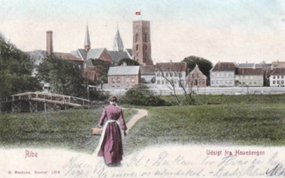 Rundvisning i Ribe 12. juni
