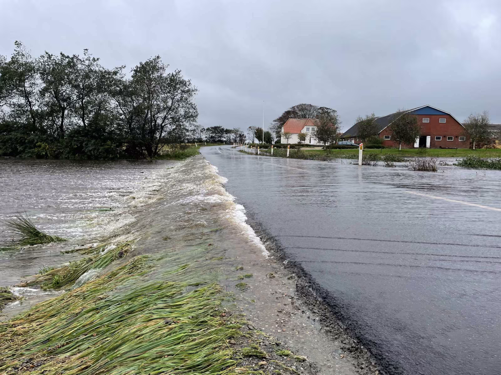 De har vist nok også fået regn i Debel