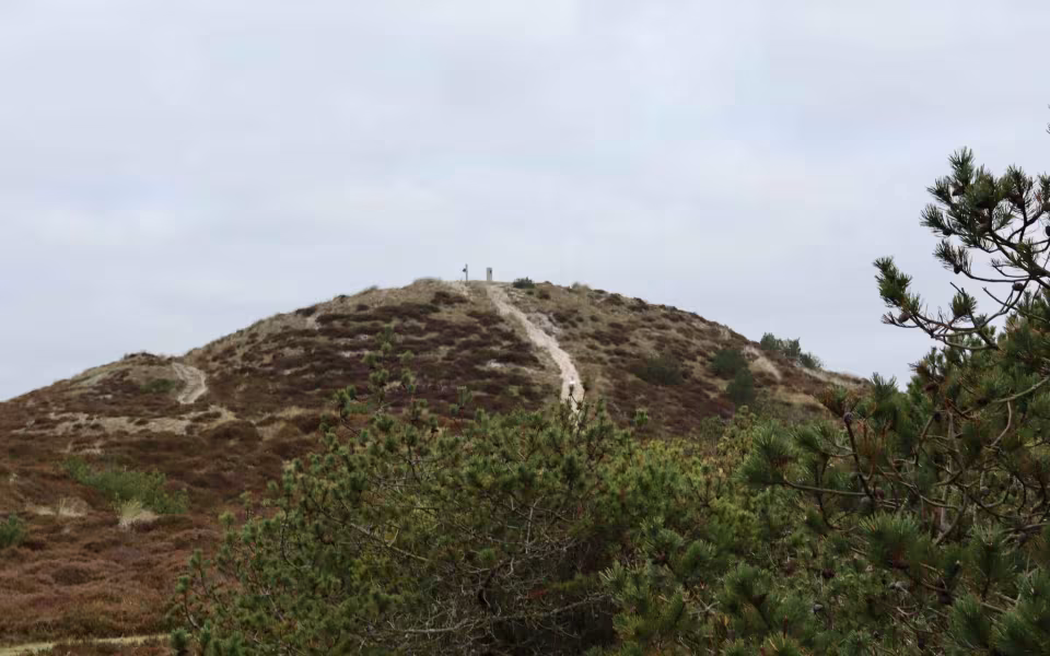 Find morgenroen på Gråmulebjerg