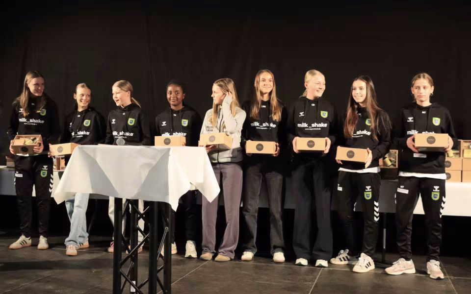 Varde Kommune Hylder Årets Mestre