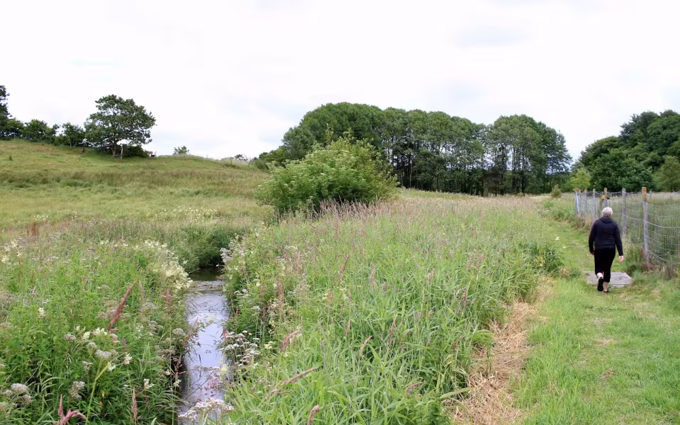 Hornes Vikingelund et paradis