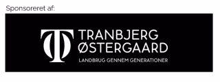 Sponsor eller logo