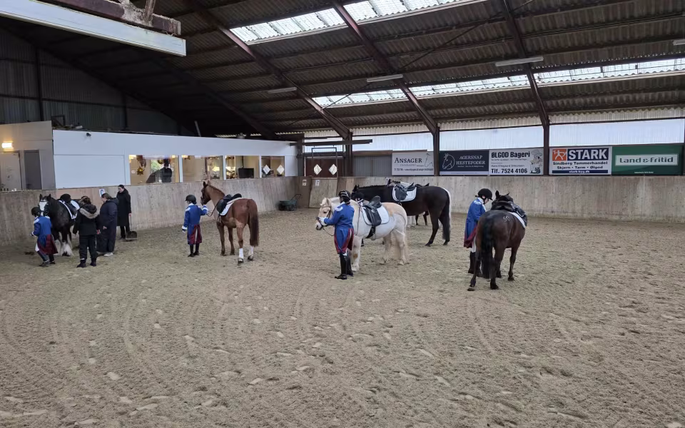 Ølgod & Omegns Rideklub fejrede 50-års jubilæum med taler, opvisning og fællesskab.