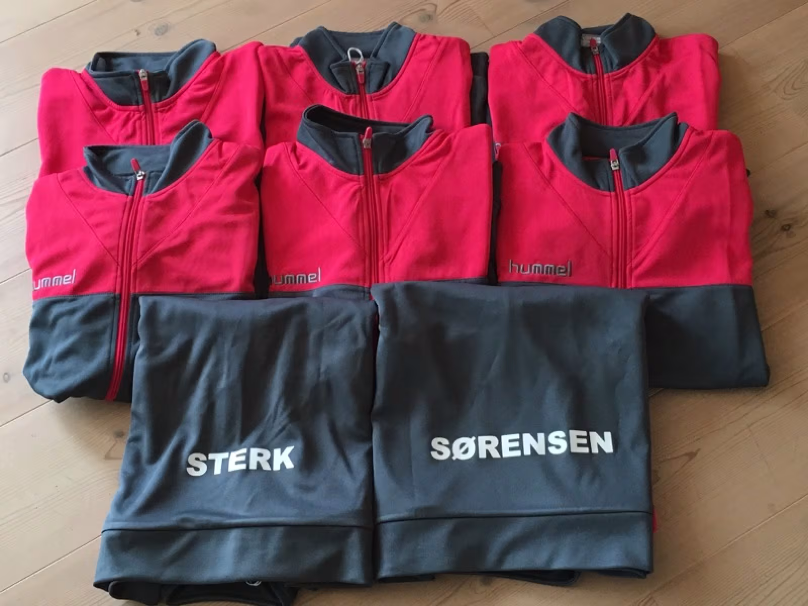 Ti U14 piger til Ungarn