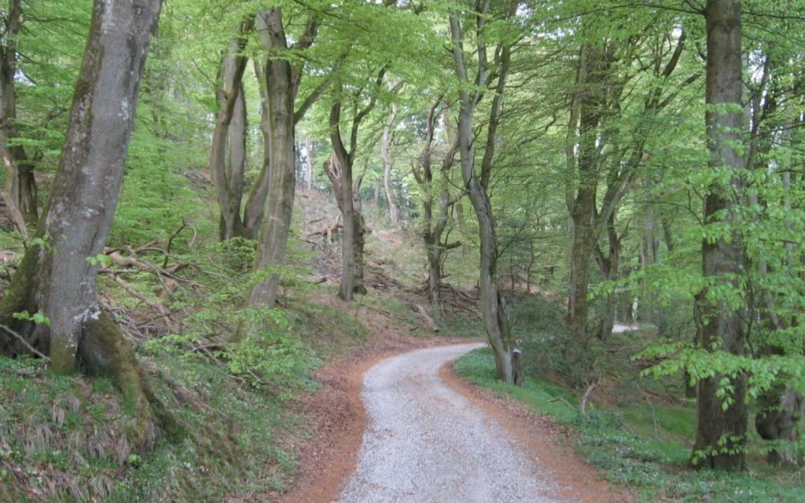 Naturnationalpark Fussingø