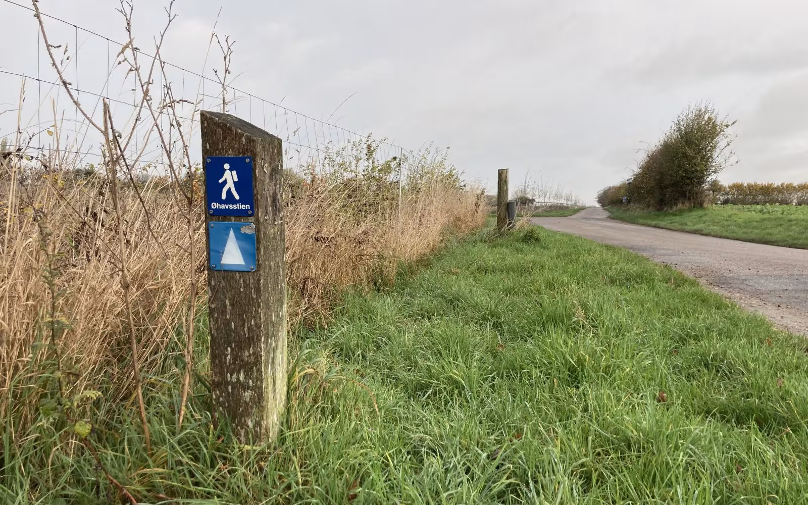 Herregårdsruten: Lohals - Spodsbjerg (etape)