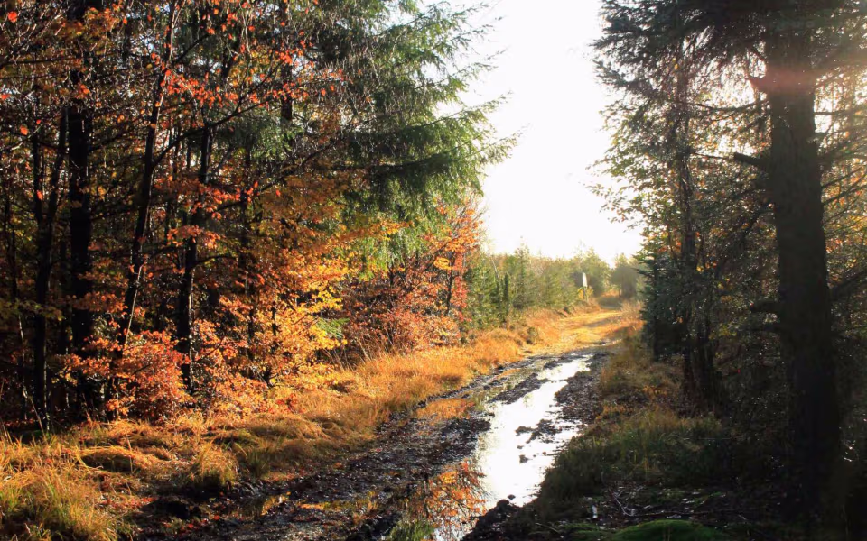 Oplev roen i Orten Plantage