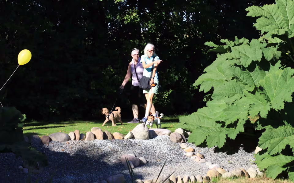 Gå-Maraton samlede 300 i Outrup