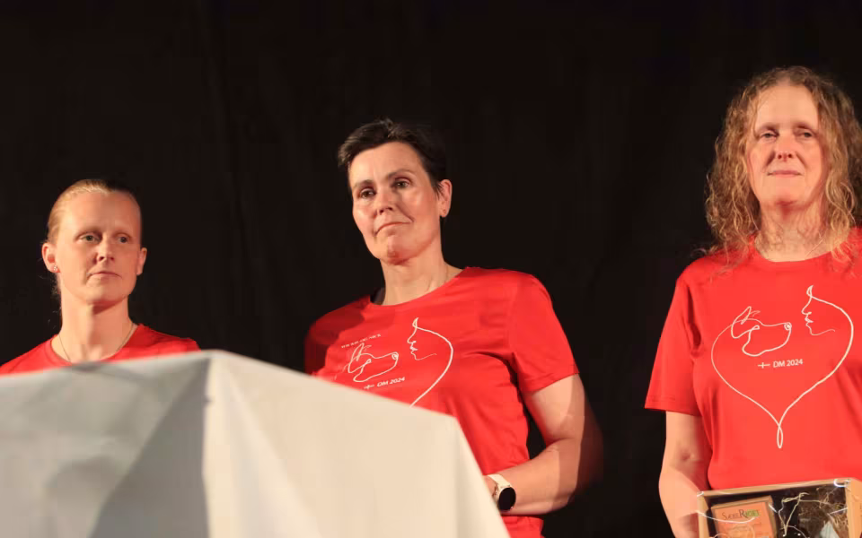 Varde Kommune Hylder Årets Mestre