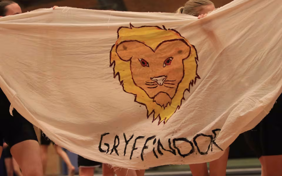 Farverig opvisning lyser Sportspark op