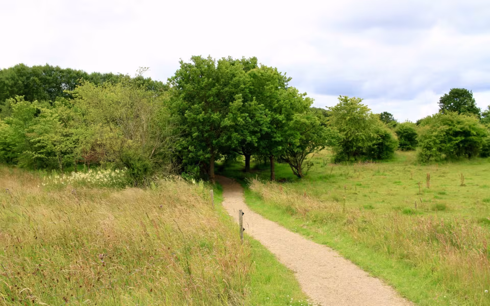 Hornes Vikingelund et paradis
