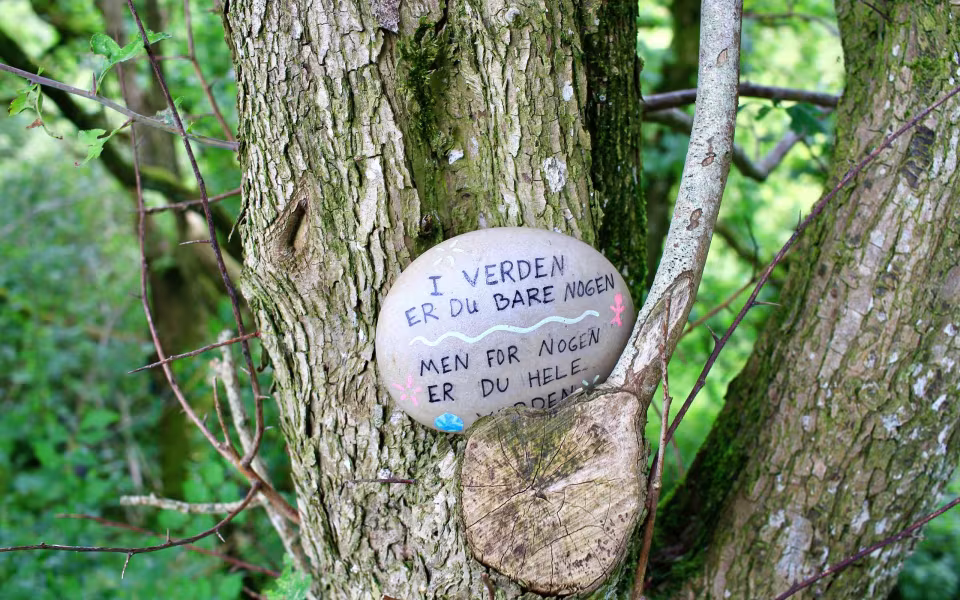 Hornes Vikingelund et paradis